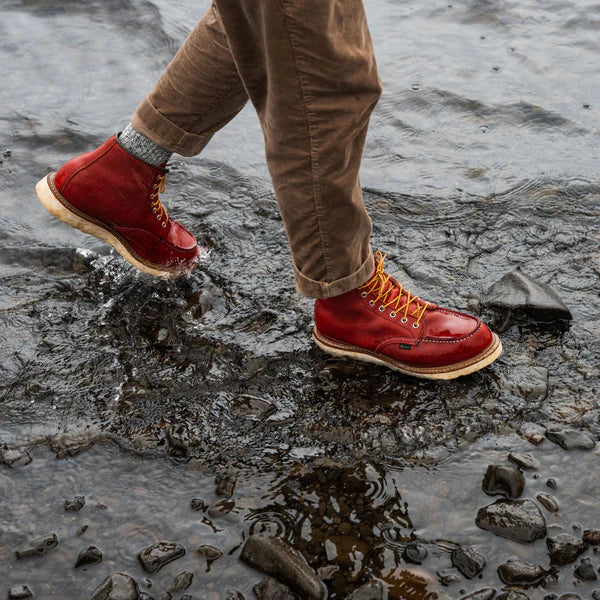 Redwing