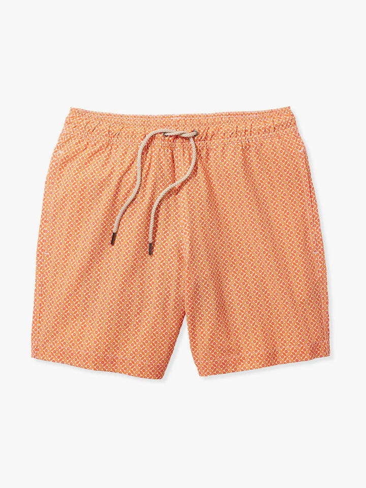 Bayberry Trunk