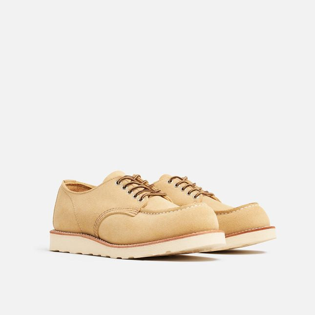 Moc Oxford