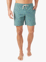 Bayberry Trunk