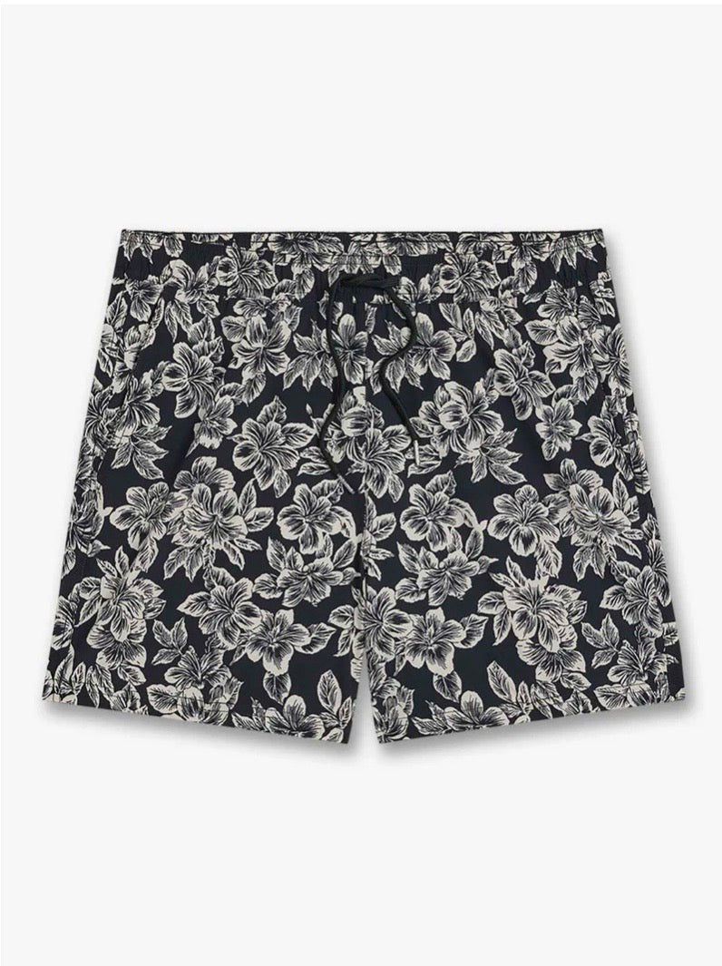 Bungalow Trunk