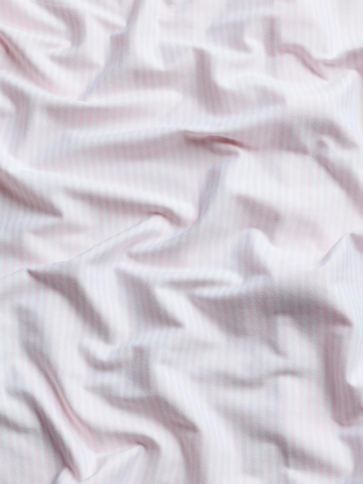 Birmingham Bengal Striped Knit Shirt
